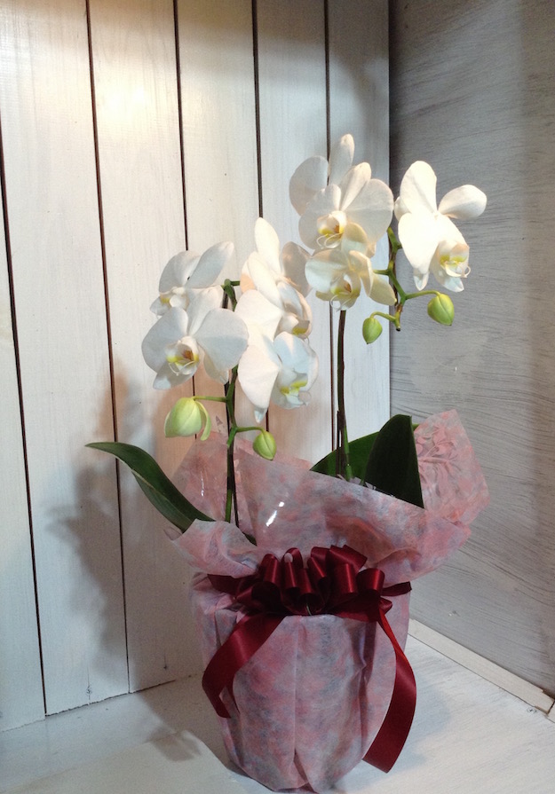 flower-arrangement
